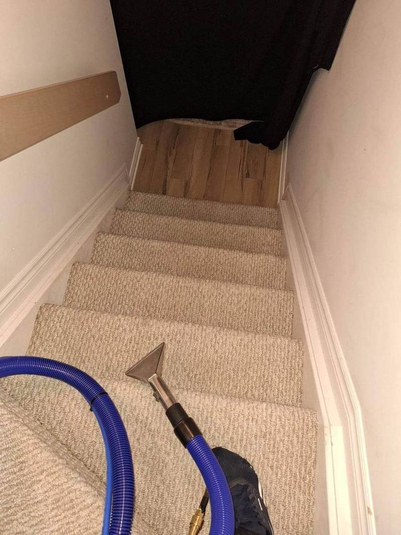 Escalier en tapis propre après le nettoyage